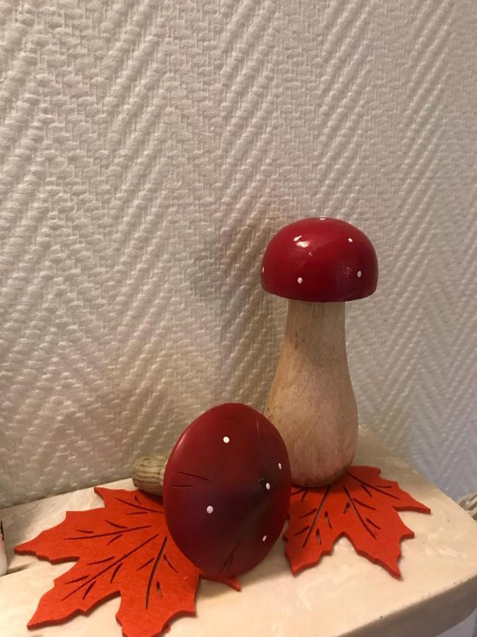 Appartement Chez Fabie セレスタ エクステリア 写真