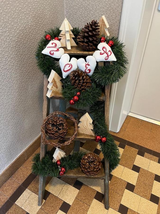 Appartement Chez Fabie セレスタ エクステリア 写真